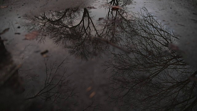 雨天视频素材