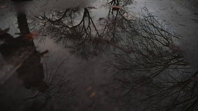 雨天视频素材