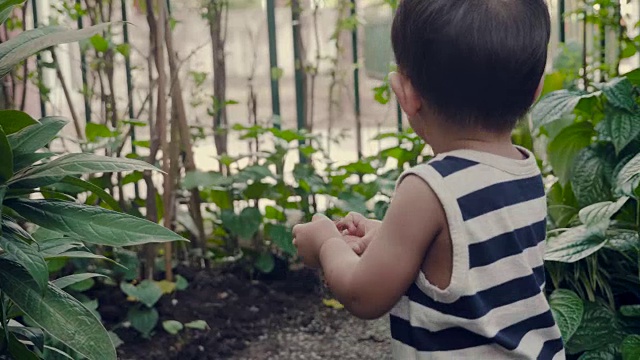 小男孩在家里的花园里散步。视频素材