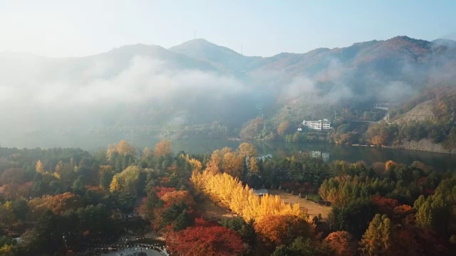 韩国首尔奈美岛秋季鸟瞰图视频素材