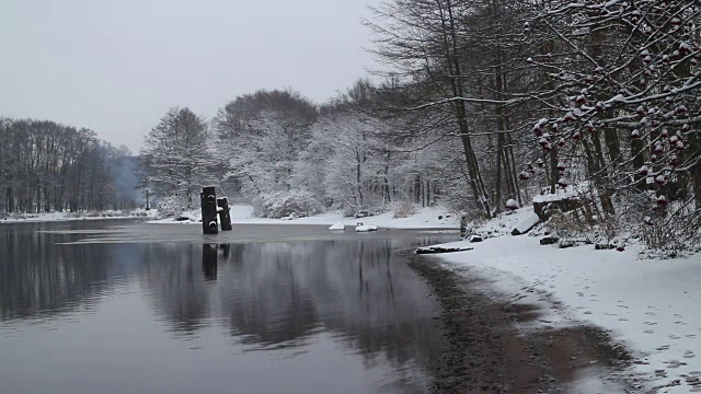 白雪覆盖的白树倒映在河里视频素材