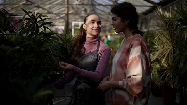 年轻的女花商与一个客户走在一起，向她展示不同的植物，解释信息。年轻女子正在仔细听花店老板说话视频素材