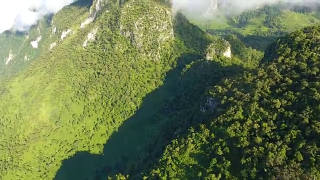 山景和森林鸟瞰图。视频素材