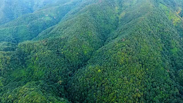 山景和森林鸟瞰图。视频素材