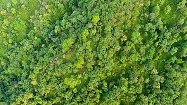 高山和森林的顶视图。视频素材