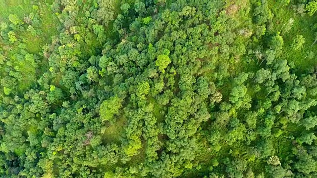 高山和森林的顶视图。视频素材