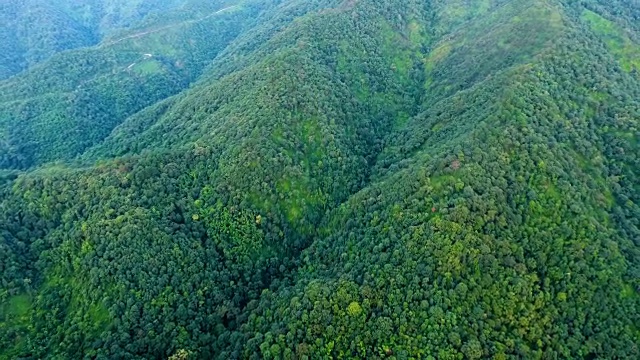 山景和森林鸟瞰图。视频素材