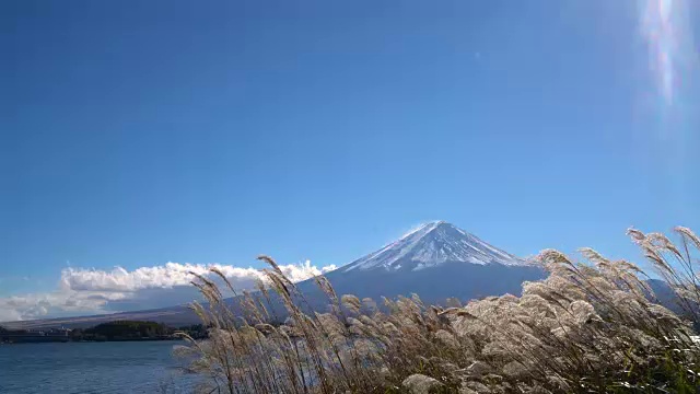 从日本川口町湖眺望富士山视频素材