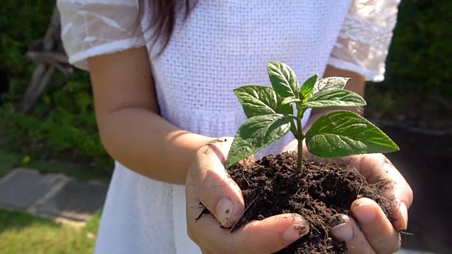 在慢镜头中，女人抱着植物树发芽。视频素材