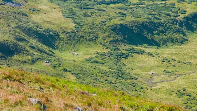 飞越高山湖泊。夏末令人难以置信的青山景观。乌克兰喀尔巴阡山脉的沃罗切斯卡湖。视频下载