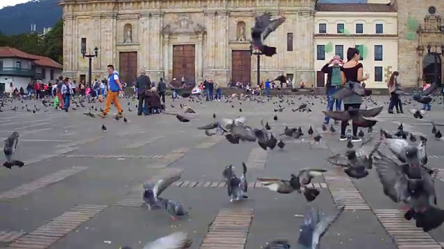 玻利瓦尔广场上的鸽子和人们，La Candelaria, Bogotá，哥伦比亚视频素材