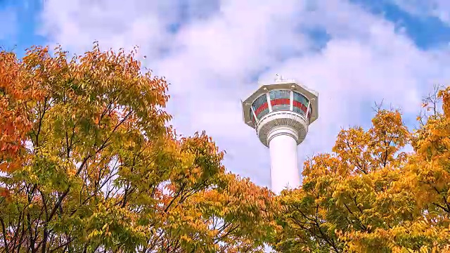 4K时间流逝釜山塔在韩国秋天视频素材