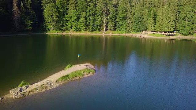 生长在森林湖岸边的冷杉。Synevyr湖是乌克兰喀尔巴阡山脉最大的湖。视频素材