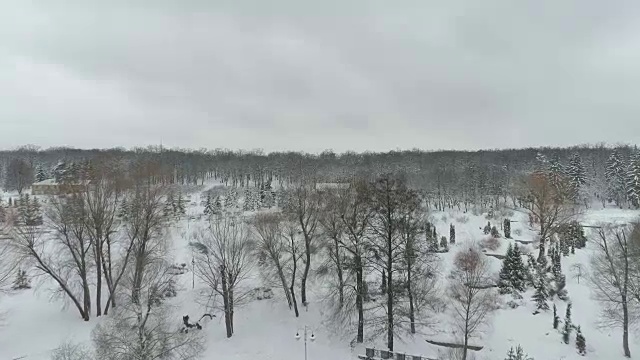 一场大雪后的费凡尼亚公园鸟瞰图视频素材