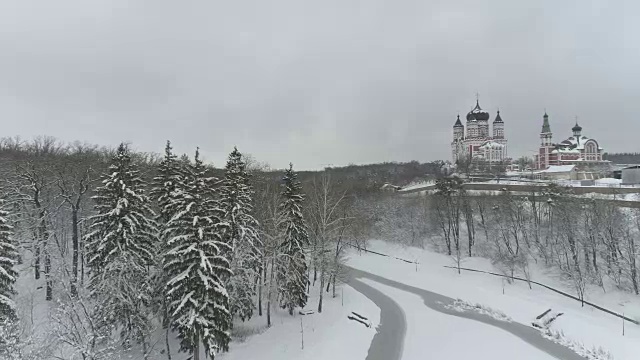 一场大雪后的费凡尼亚公园鸟瞰图视频素材