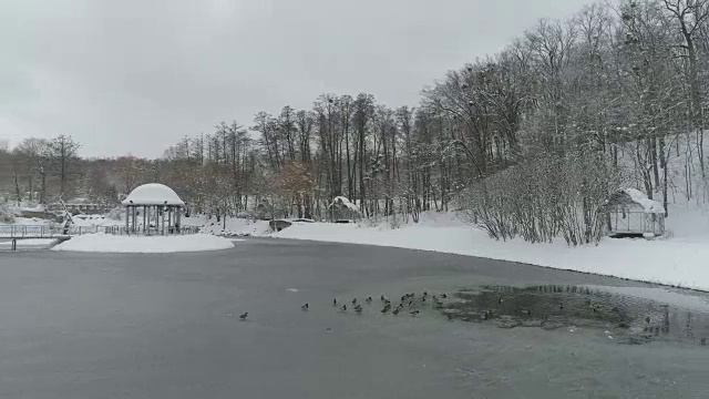 一场大雪后的费凡尼亚公园鸟瞰图视频素材