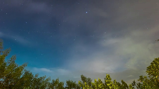 树林里的夜空，时光流逝视频素材