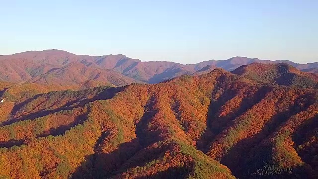 韩国山区的秋景视频素材