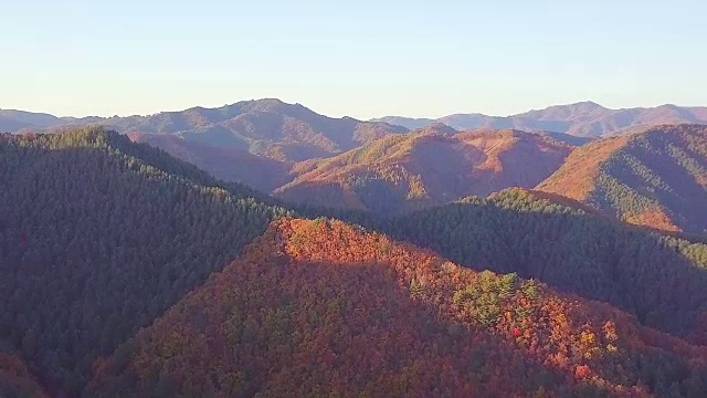 韩国山区的秋景视频素材