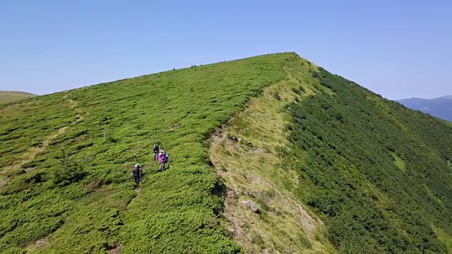 夏末令人难以置信的青山景观。飞越乌克兰喀尔巴阡山脉。景观视频。自然的视频。视频素材