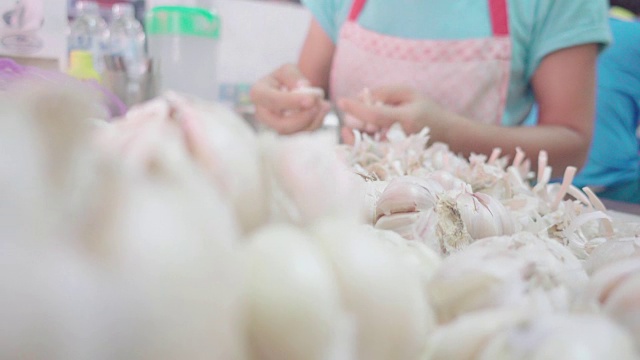 大蒜是蔬菜的生鲜原料视频素材