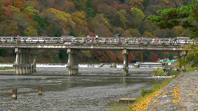 游客在日本京都岚山秋日参观月桥视频素材