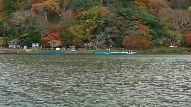 秋桂河，岚山，日本视频素材