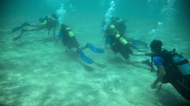 一群在水下学习水肺潜水课程的潜水员视频素材