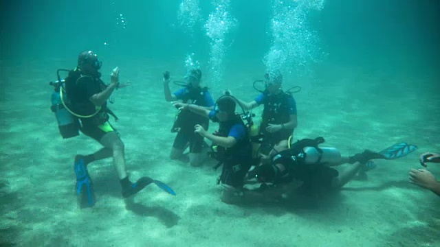 一群在水下学习水肺潜水课程的潜水员视频素材