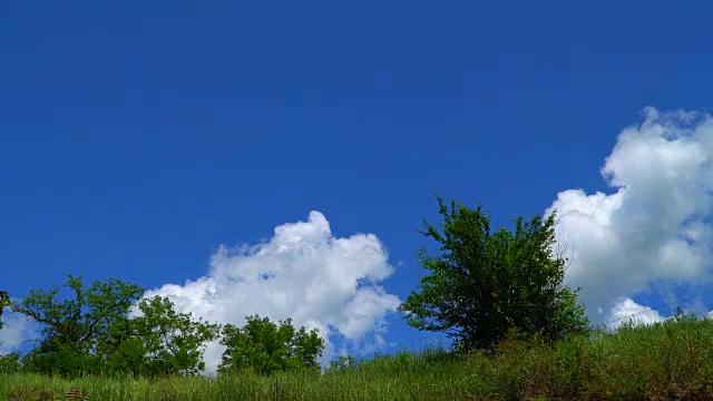 峡谷边缘的树木映衬着天空和云朵视频素材