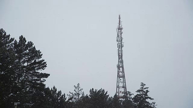 一座电视塔映衬着冬天多云的天空和森林里的树木视频素材