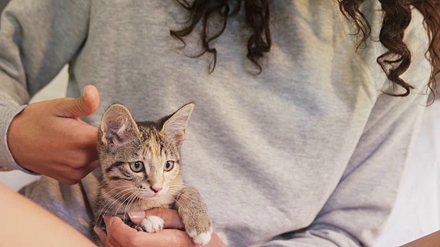 年轻女子坐在床上抚摸她的虎斑猫在卧室4K 4K视频素材