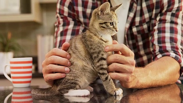 一个年轻人在厨房里抚摸着他的宠物猫，4K视频素材