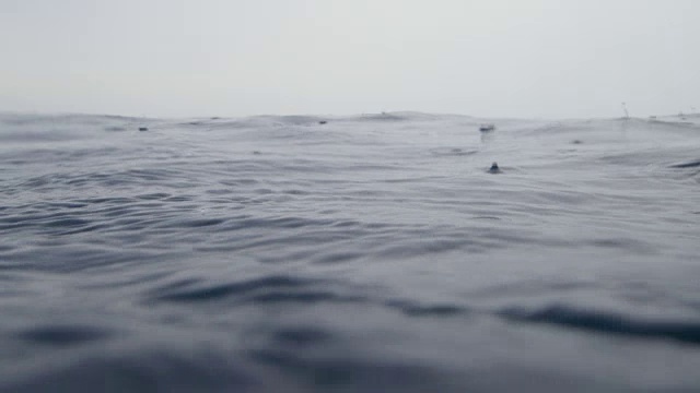 海洋的地平线上有雨滴视频素材