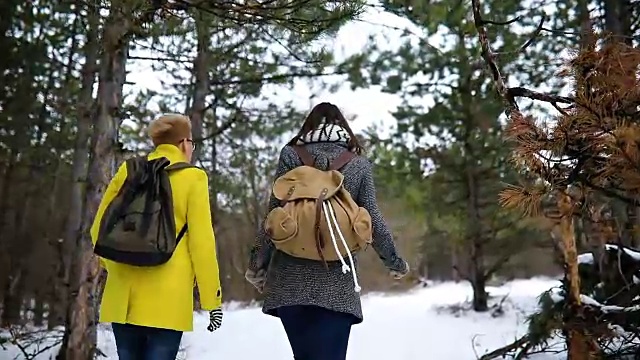 一对夫妇在森林里徒步旅行视频素材