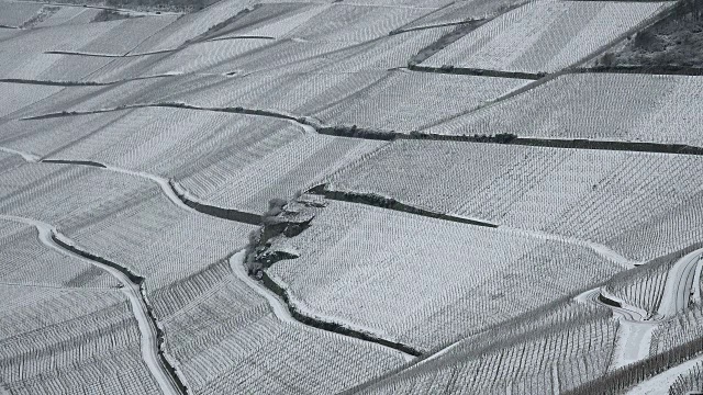 欧洲德国莱茵兰-普法尔茨摩泽尔河附近的冬季葡萄园视频素材