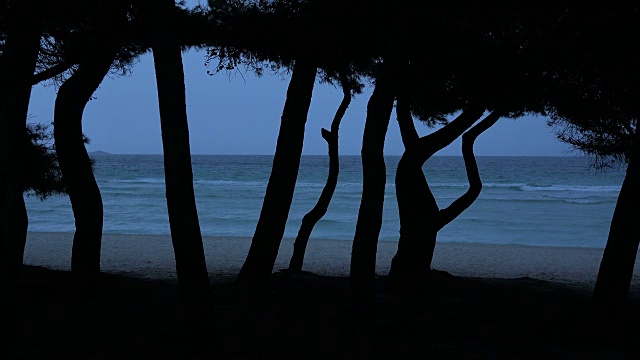 马略卡岛，巴利阿里群岛，西班牙，地中海，欧洲视频素材