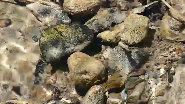 小溪中的流水和岩石视频素材