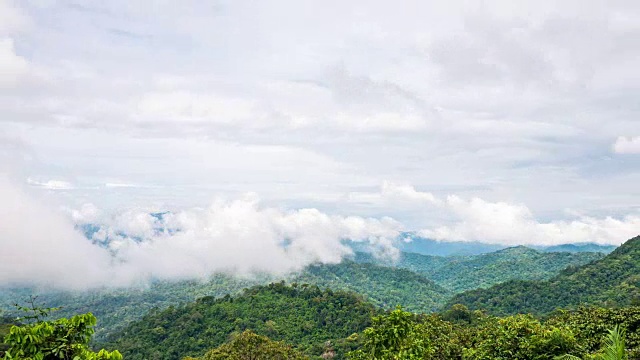 宁静的场景，雾和云流动在热带树木在山上，延时视频视频素材