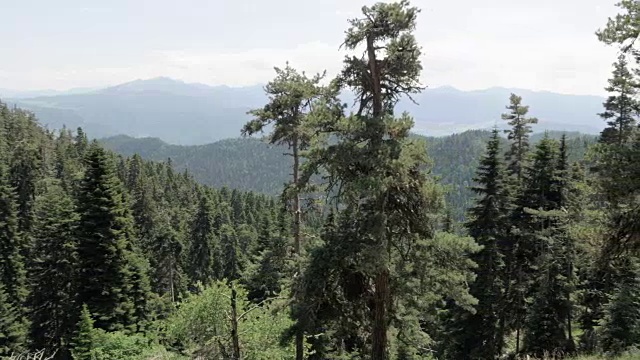 格鲁吉亚Borjomi Kharagauli国家公园的山景视频素材