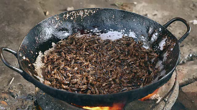 在锅中油炸蚱蜢(近距离)视频素材