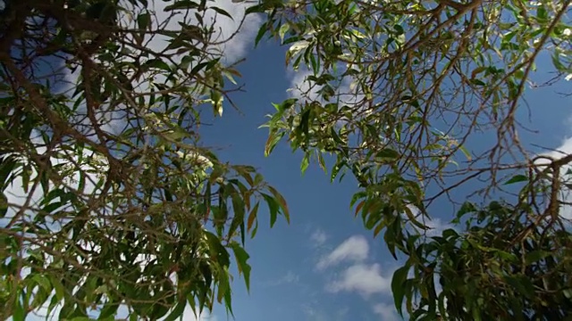 倾斜一下停靠在码头上的船视频素材