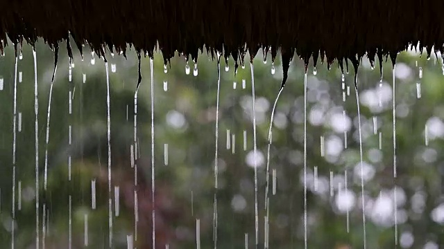 热带夏雨滴落在花园的稻草屋顶上。印尼巴厘岛视频素材