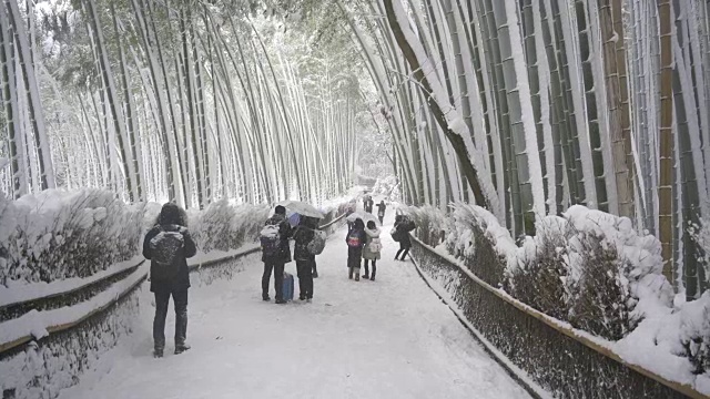 京都著名的竹林小路上正下着大雪视频素材