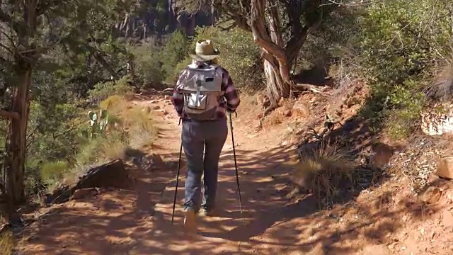 游客徒步登山活跃的女人在锡安公园漫步慢镜头4K视频素材