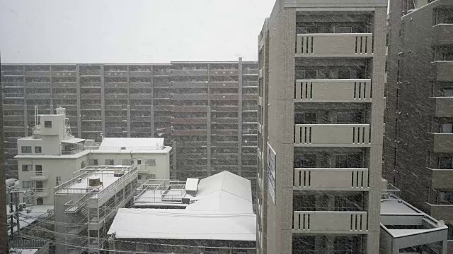 城市里下雪了视频素材