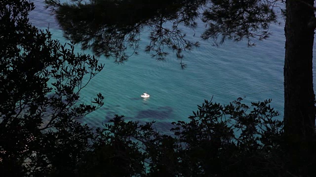 一艘帆船停泊在海湾里视频素材