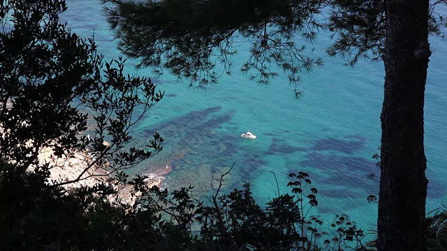 一艘帆船停泊在海湾里视频素材