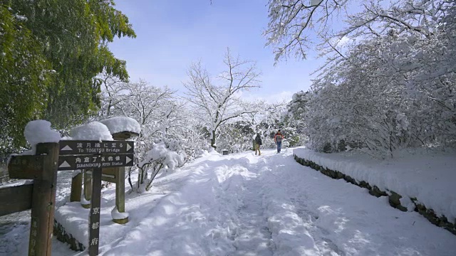 岚山公园的积雪很深视频素材