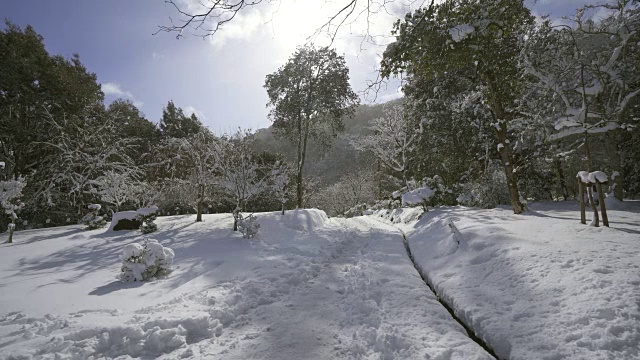 岚山公园的积雪很深视频素材